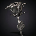 Silver rose on a black background
